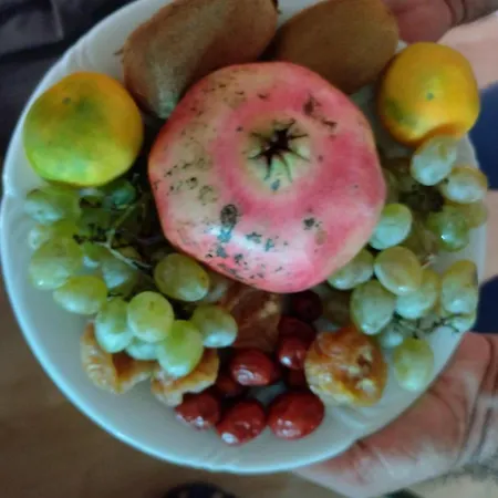 Family Majcica - Malo Misto クレック